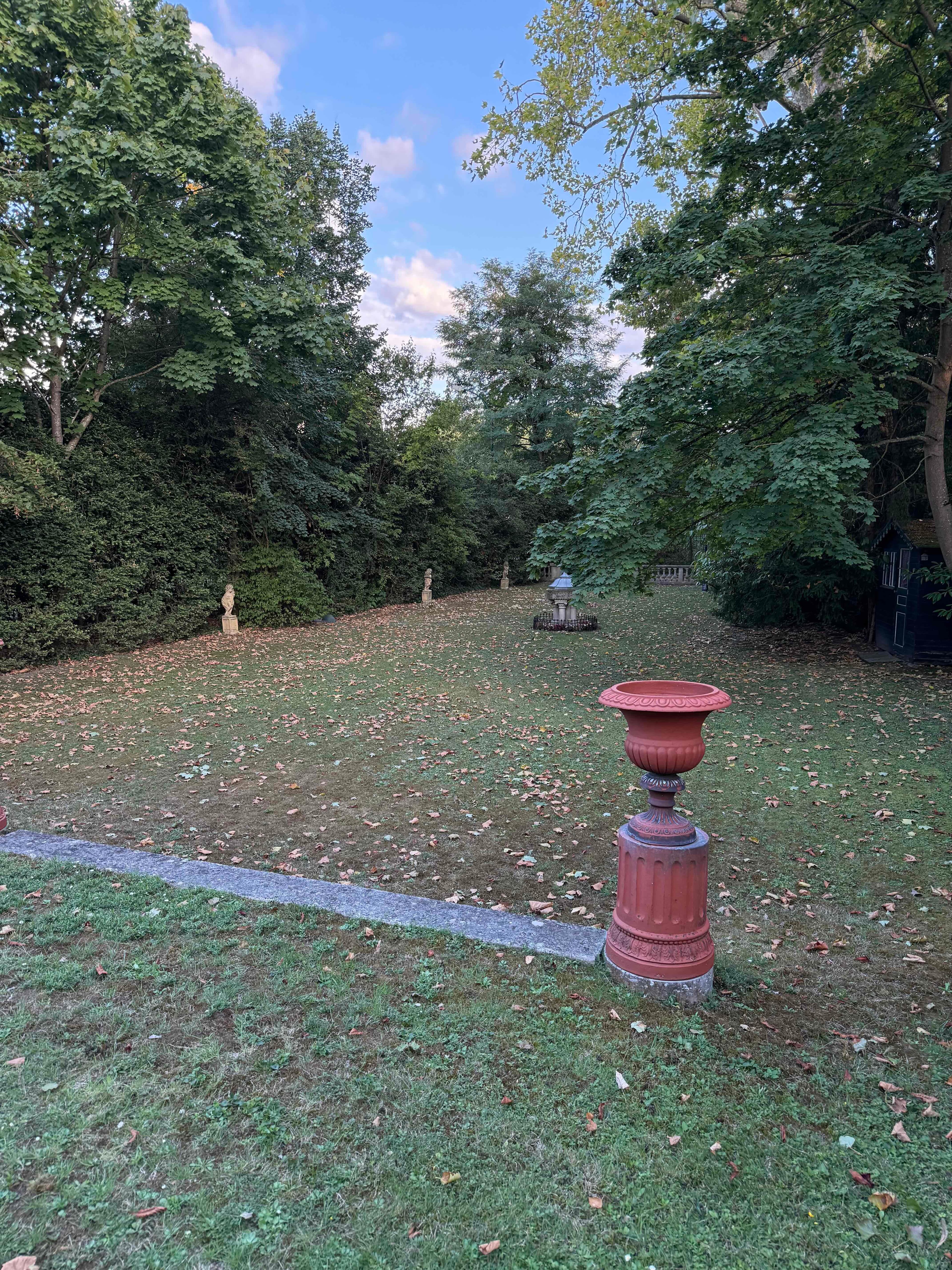 Gazon avant rénovation Hanami